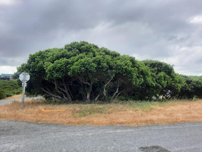 0 Bedroom Property for Sale in Kleinbaai Western Cape